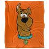Face Scooby Doo Throw