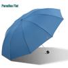 Компактный деловой зонт Paradise с 10 ребрами, большого размера