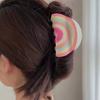 A New Japanese and Korean Ins Style Custom Acrylic Dream Rainbow Grab Clip Summer Back Head Hair Large Shark Clip