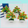 Tree Oranges Fruit Potted Plant For Office Desk And Photography Background