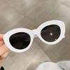 Ins Popular Retro Eyewear Oval Sun Glasses Oversized Sunglasses Sun Glasses Thick Frame
