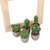 Simulation Foam Cactus/Cactus Potted Plant, Micro-Landscape Office Home Decoration Diy Simulation Potted Plant