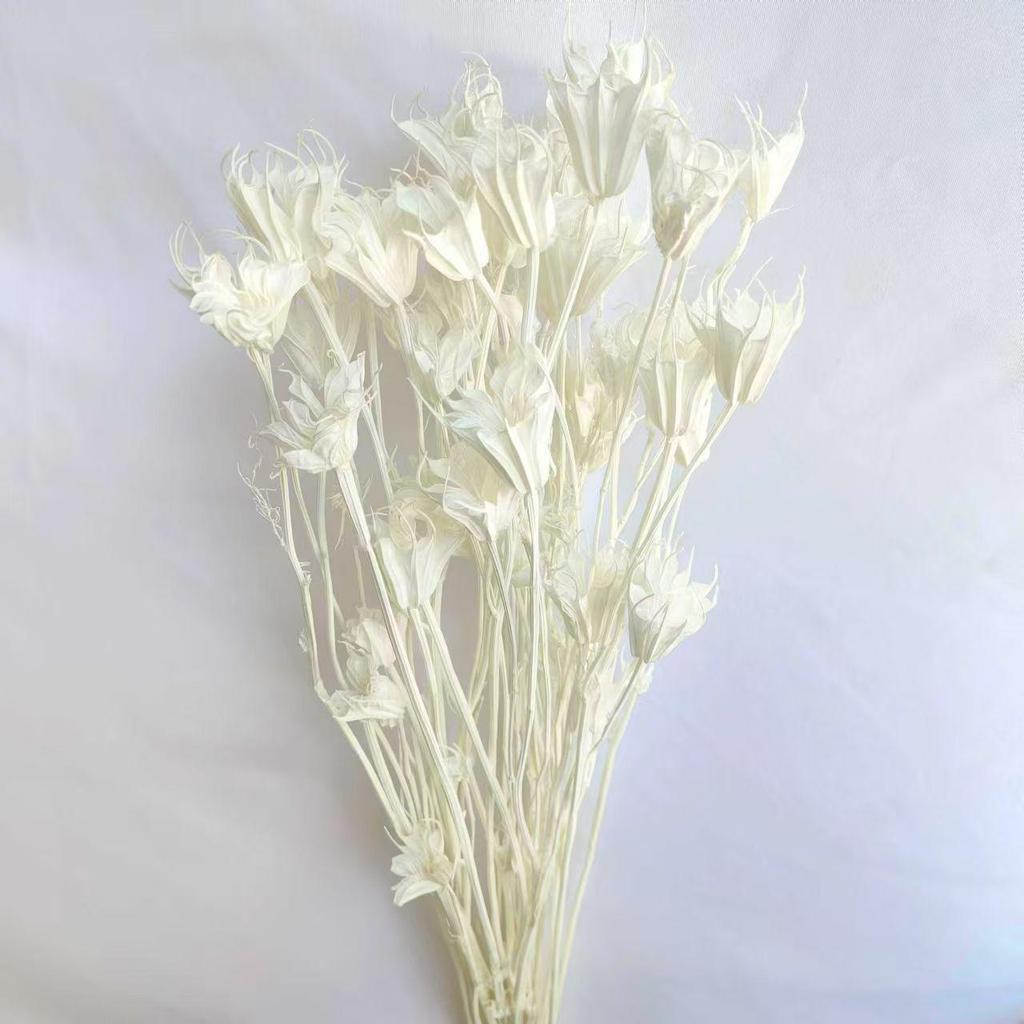 Preserved Rabbit Tail Grass Bouquet - DIY Dried Flower Decoration with Pampas Grass