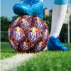 Футбольный мяч Anderlecht FC, размер 5, стандартный, прочный, для тренировок и матчей, для взрослых, для занятий спортом на открытом воздухе