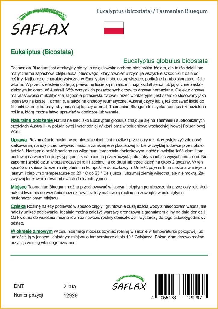 SAFLAX Тасманская голубая резинка - 100 семян - Eucalyptus globulus