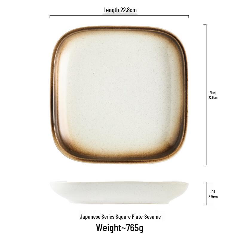 ZISIZ 9-inch Square Ceramic Soup Plate