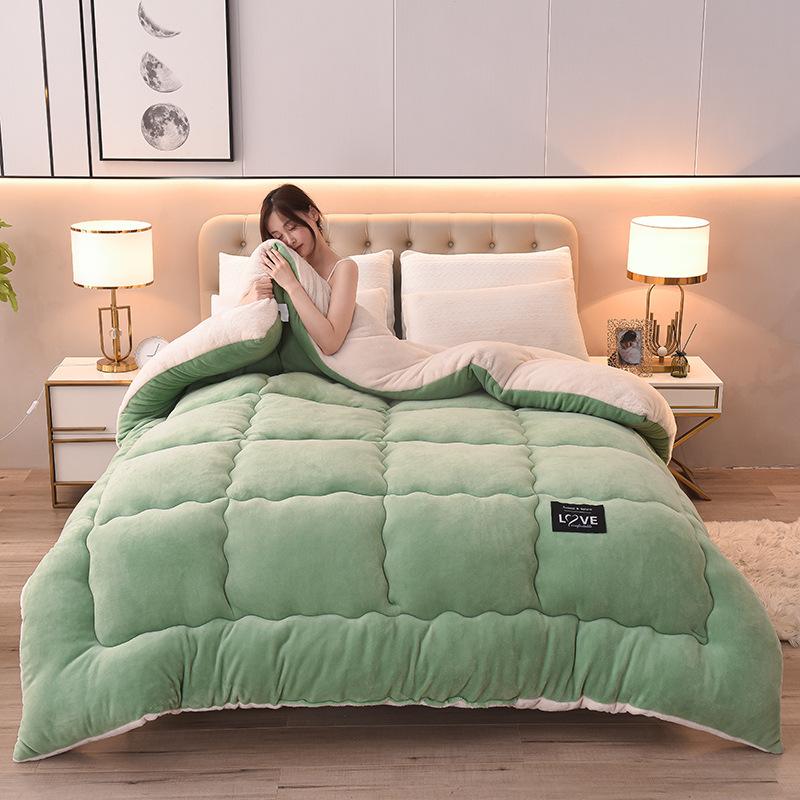 New Super Warm Lamb Wool Quilt Winter Thickened Cotton Quilt Warm Cotton Double Sided Velvet Soft Extra Large Blanket