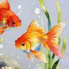 Goldfish Window Sticker Static Cling Window Decal Waterproof Removable Window Cling for Bathroom Living Room Bedroom