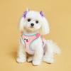 Cartoon Cat Chest Straps Big Eyes Dog Harness and Leash Set Dog Harness Vest  Four Seasons