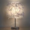 Small Table Lamp Bedroom Nightstand Lamp Korean Birthday Gift Girl Lovely Lighting Baby Night Light Feather Angel Desk Lamp