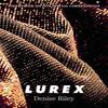 Lurex by Denise Riley Paperback Book 9781529078138
