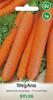 Edible Carrots Type Nantess Sylvia 5g Carrot Seeds -