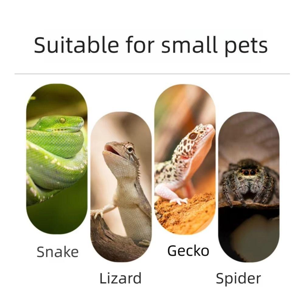Anti-Slip Hermit Crab Ladder Secure Suction Cup Climbing Mesh Panel Glass Tank