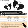 Dog tuxedo, dog suit, dog wedding bandana, necktie, adjustable  tuxedo