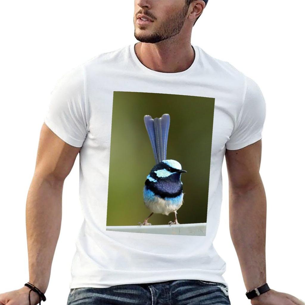 Blue Superb Wren 7214 Tshirt T Shirt Unisex Plain Unisex T Shirts Cotton T Shirts For Unisex Slim Fit Tshirt