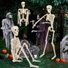 Realistic Movable Joints Skeleton Adjustable Halloween Plastic Skeleton for Graveyard Decor