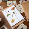 Large Flower Press Adjustable Plant Press Flower Preservation Tool DIY Dried Flowers Pressing Tool Gift for Kids Nature Lovers