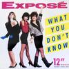 12inch Record EXPOSE - What You Don't Know AD19837 Arista 1989 US Dance & Electronica Used