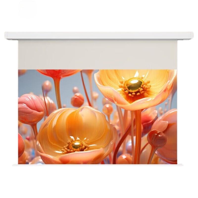 IN&VI DFL 120-inch Electric Anti-Light Projector Screen
