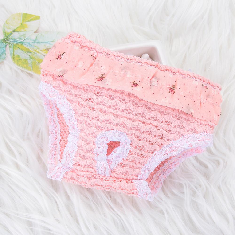 & Living Шифоновое нижнее белье Эластичные трусики для собак Физиологические штаны для домашних животных Подгузники для щенков Товары для кошек