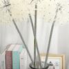 Artificial Flower Dandelion Simulation Dandelion/flower White Plastic Iron Wire For Home Garden Decoration Fake Flowers-hao