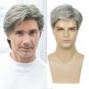 Men's Gray Handsome Fluffy Short Hair