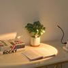 USB Sunset Sunset Ambiance Light Self Photography Light LED Rainbow Neon Night Light Projector Photography Wall Atmosphere Light