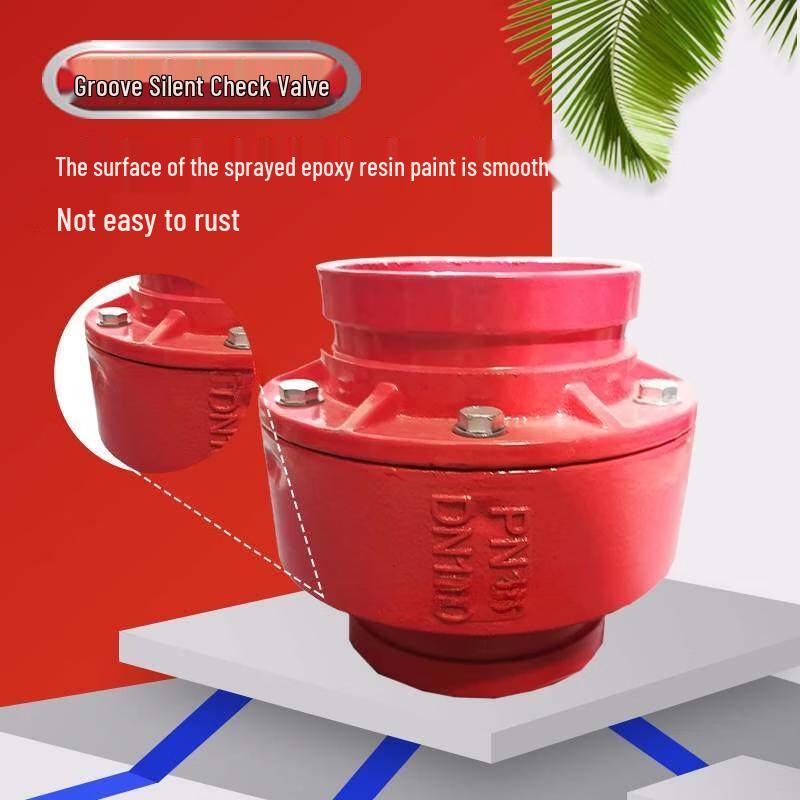 Rongyu DN65 Grooved Silent Ductile Iron Check Valve