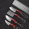 Stainless Steel Sharp Mini Kitchen Knife Box Express Unpackage Cutter Keychain Creative Paring Knife Portable Carry EDC Tool