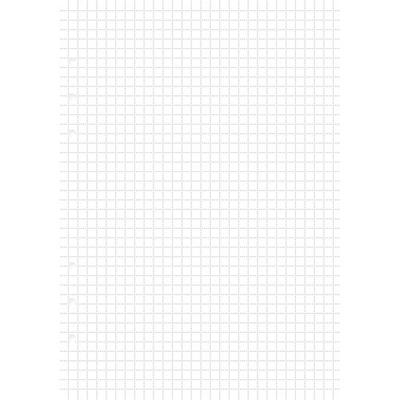 Filofax Filofax A5 Clipbook Refill 25p (в квадрате)