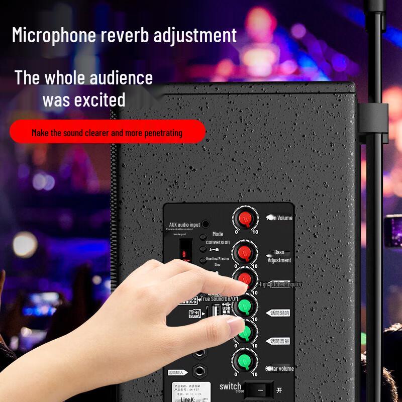 Soaiy SA-X21 8-дюймовая портативная караоке-колонка