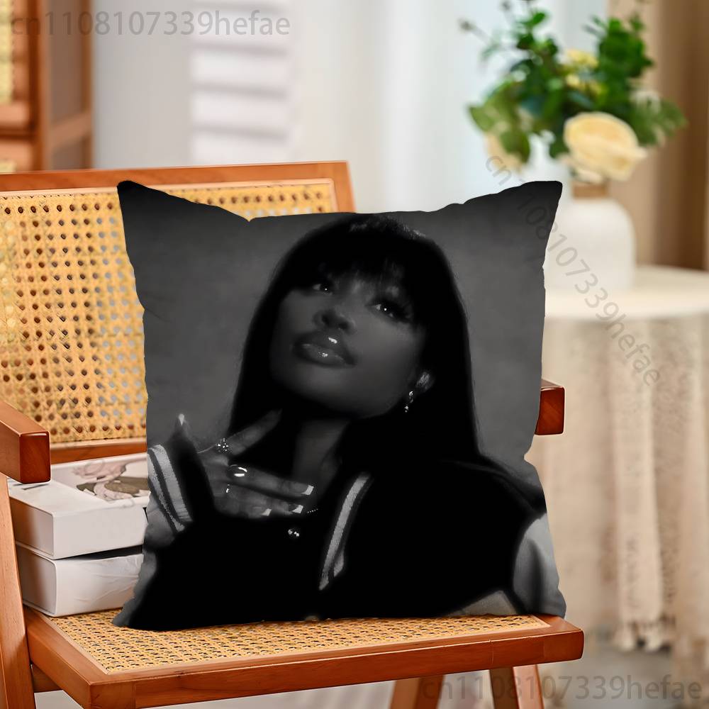 Singer SSZA Throw Pillow Case For Decoration 30cm 50cm 55cm Square Home Pillowcase Case
