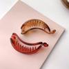 Fashion Accessories Oval Shape Hollow Hair Accessories Simple Hair Claw Resin Frosted Banana Clip