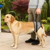 Comfortable Pet Rear Leg Support Adjustable Hind Leg Support Straps  Recovery Period