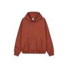 Nike Мужские однотонные свободные толстовки с логотипом ACG, красно-коричневые CW4490-670