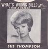 7-дюймовая пластинка СЬЮ ТОМПСОН - What's Wrong Bill / I Need A Harbor 451204 Hickory Records 1963 США Рок Б/у