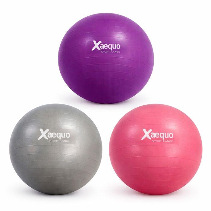Ballon de Yoga et Pilates - XAEQUO - 56 cm - PVC Résistant - Charge Max 150 kg - Multicolore