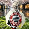 Custom Name Personalized FC Bayern Print Umbrella, Auto Open Close, 8‑Rib Sturdy Frame, Commute Camping Hiking Use, Birthday Gift