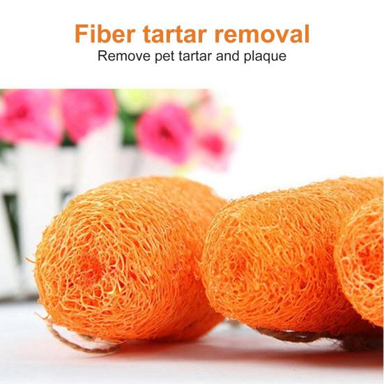 Игрушка для моляров питомца Изысканная чистка зубов Здоровый питомец Кролик Морковь Шлифовка зубов