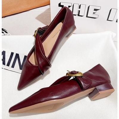 Мода Новый Стиль Популярные Весенние Винтажные Женские Туфли Мэри Джейн с Острым Носком Модные Мелкие на Толстом Каблуке Свадебные Туфли Zapatos Mujer