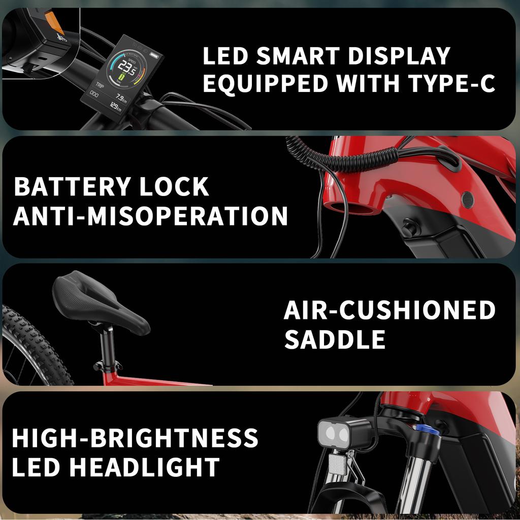 DUOTTS E29 Electric Bike 250W(Peak Value of 750W) Motor 48V 13.5Ah Battery Off-road Electric Bicycle 27.5 Inch Fat Tire E Bike