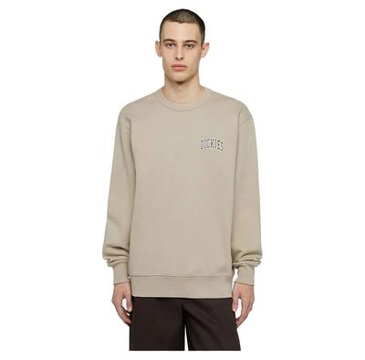 Dickies Aitkin Chest свитшот