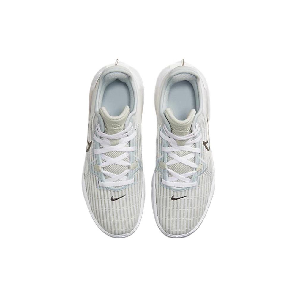 Nike Lebron Witness 6 EP White Metallic Pewter Мужские кроссовки Summit-White Light-Bone Aura DC8994-102