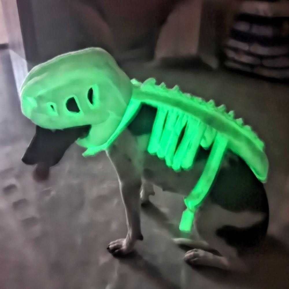 Glow in The Dark Dinosaur Bone Pet Headgear 3D Cat Cosplay Headwear Pet Party