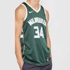 Nike Баскетбольная майка NBA Милуоки Бакс Джанис Адетокумбо Icon Edition 864489-323