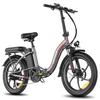 Fafrees F20+ Folding Electric Bike, 250W Motor, 36V 20Ah Battery, 20*3.0 Inch Tires