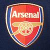 Arsenal FC Boys Crest Polo Shirt
