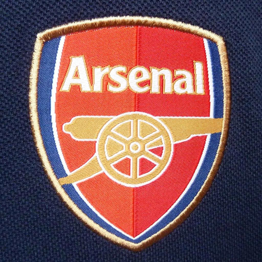 Arsenal FC Boys Crest Polo Shirt