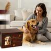 Keepsake Pet Commemorative Urn Personalized Photo Frame Urn Simple Pet Cremation Urn For Cats