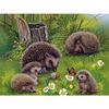 5d Hedgehog Embroidery Diy Diamond In The Forest Full Round Resin Diamond Painting Animal Home Decoration New Arrival
